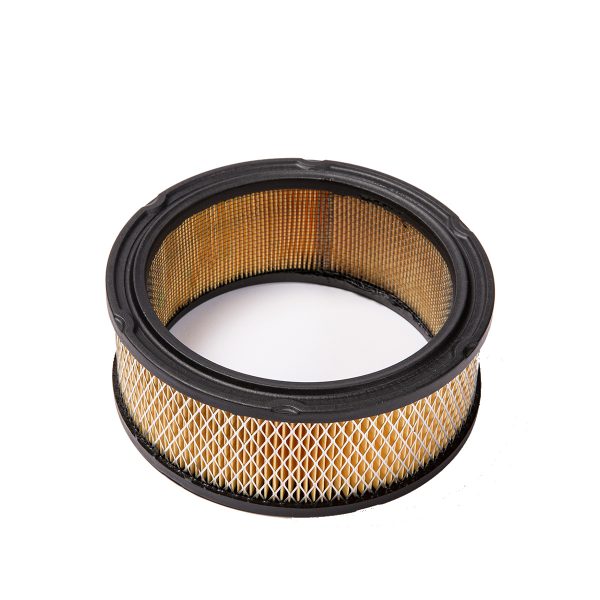 Air Filter For 200, 300, F600, LX, RX And SX Riding Lawn Mowers