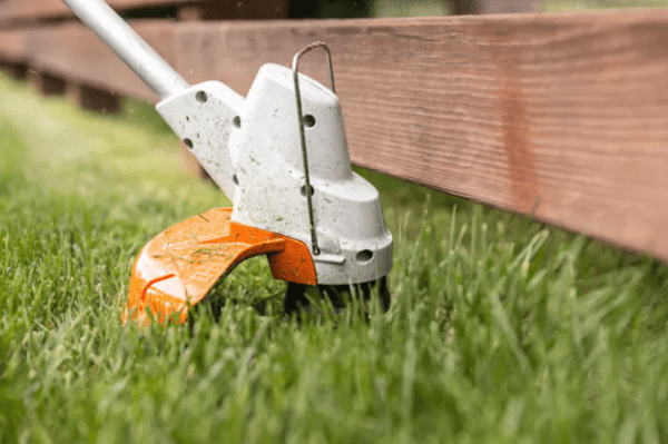 STIHL FSA 57 Trimmer AK 20 Battery Powered