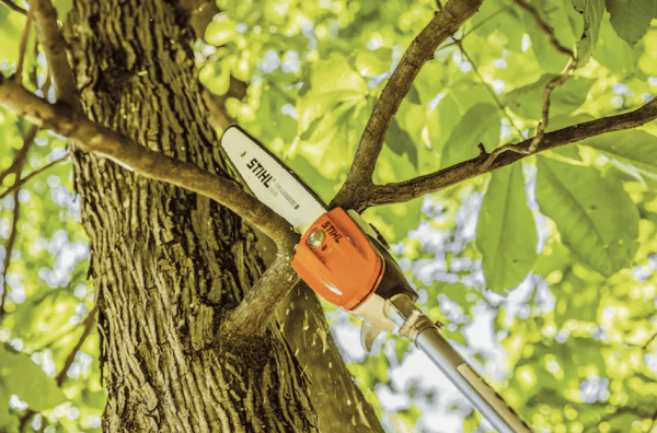 STIHL HT-KM Pole Pruner 12" - Image 2