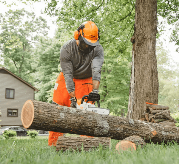STIHL MSA 220 C-B 16" Chainsaw - Image 4